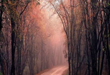 天涯社区用户少，这地方好冷清啊，大家都不常在了