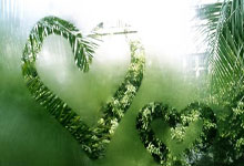 天涯社区海南农垦版块太乡了!老铁们说这是垦三代的根儿,每夜不忘盖楼唠烫                                                                                    😏