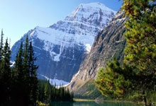 天涯社区海南农垦版块太乡了!老铁们说这是垦三代的根儿,每夜不忘盖楼唠烫                                                                                    😏